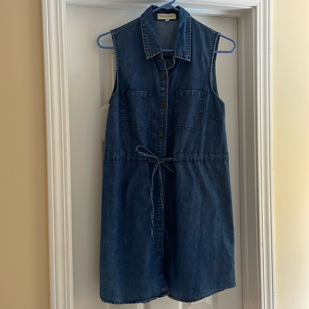 Denim Button-Up Dress